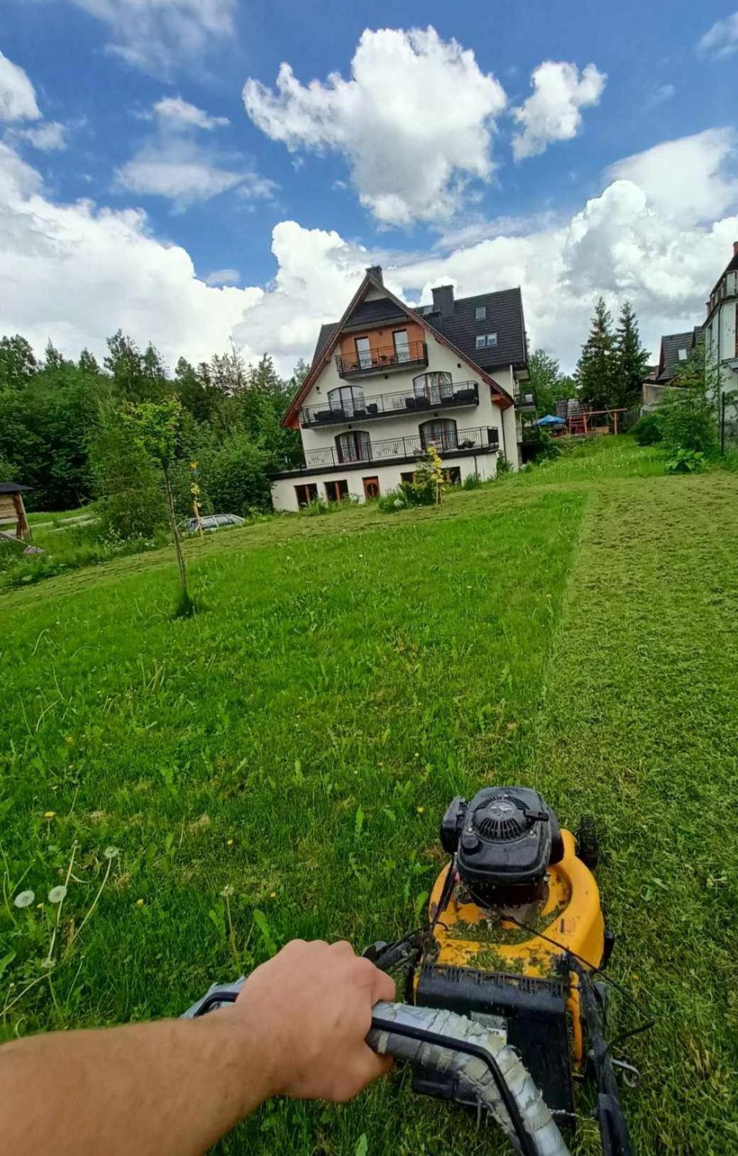 Appartement Willa U Kosle 2 à Zakopane Extérieur photo